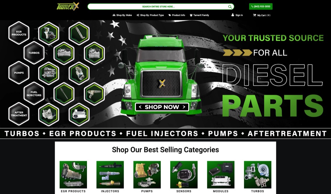 Screenshot of the TamerX site